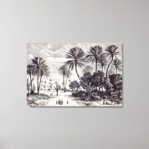 Oase von Gafsa: Tunis Leinwanddruck