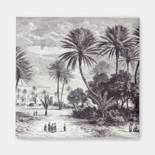 Oase von Gafsa: Tunis Magnet