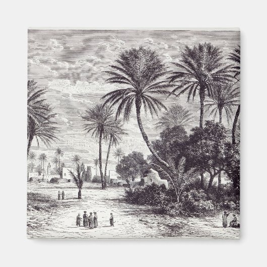 Oase von Gafsa: Tunis Magnet (Vorne)