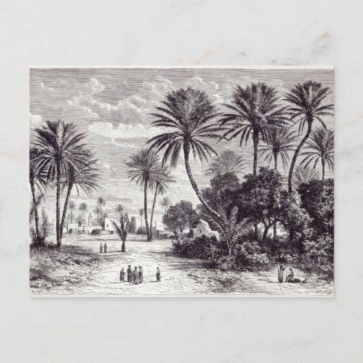 Oase von Gafsa: Tunis Postkarte (Vorderseite)