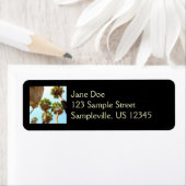 Oasis Palms am Joshua-Tree-Nationalpark (Insitu)