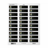 Oasis Palms am Joshua-Tree-Nationalpark (Vorne)