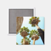 Oasis Palms am Joshua-Tree-Nationalpark Magnet (Vorderseite/Rückseite)