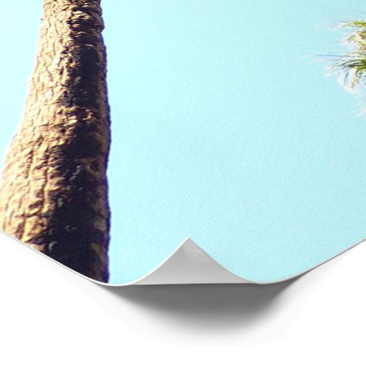 Oasis Palms am Joshua-Tree-Nationalpark Poster (Ecke)