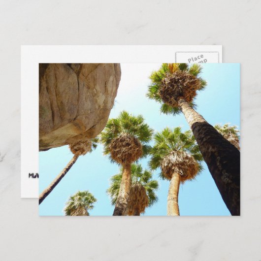 Oasis Palms am Joshua-Tree-Nationalpark Postkarte (Vorne/Hinten)
