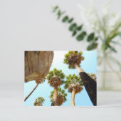 Oasis Palms am Joshua-Tree-Nationalpark Postkarte (Stehend Vorderseite)