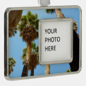 Oasis Palms am Joshua-Tree-Nationalpark Rahmen-Ornament Silber (Rechts)