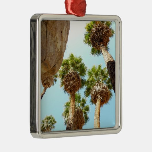 Oasis Palms am Joshua-Tree-Nationalpark Silbernes Ornament (Rechts)