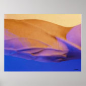 Oasis Poster (Vorne)