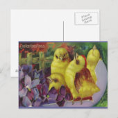 Oaster Chick Greetings Feiertagspostkarte (Vorne/Hinten)