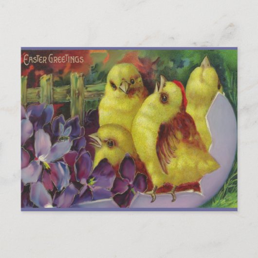 Oaster Chick Greetings Feiertagspostkarte (Vorderseite)