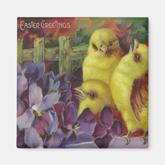 Oaster Chick Greetings Magnet (Vorne)