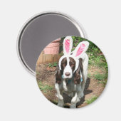 Oaster Hank Magnet (Vorderseite/Rückseite)