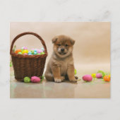 Oaster Shiba Inu Feiertagspostkarte (Vorderseite)