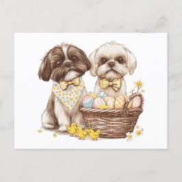 Oaster Shih Tzu Dogs Feiertagspostkarte