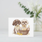 Oaster Shih Tzu Dogs Feiertagspostkarte (Stehend Vorderseite)
