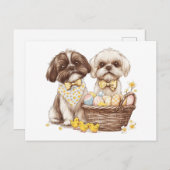 Oaster Shih Tzu Dogs Feiertagspostkarte (Vorne/Hinten)