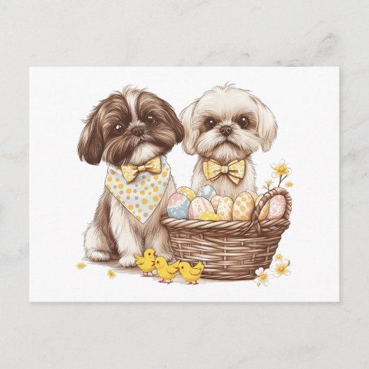 Oaster Shih Tzu Dogs Feiertagspostkarte (Vorderseite)