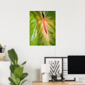 Obake Anthurium Poster (Heimbüro)