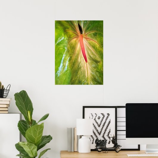 Obake Anthurium Poster (Heimbüro)