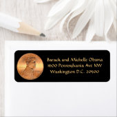 Obama 2012 Penny (Insitu)