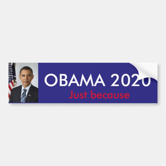 Obama 2020 nur weil autoaufkleber (Vorne)