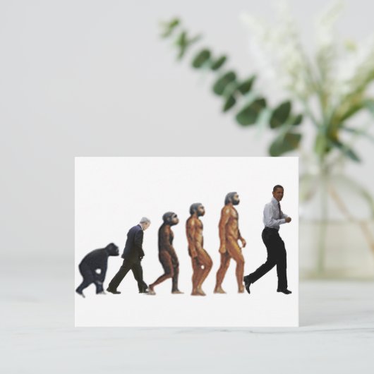 Obama-Evolution Postkarte (Stehend Vorderseite)
