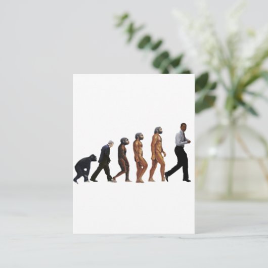 Obama-Evolution Postkarte (Stehend Vorderseite)
