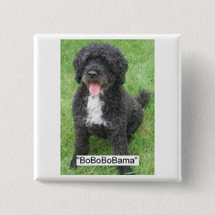Obama Pet Portugiesischer Wasserhund Button