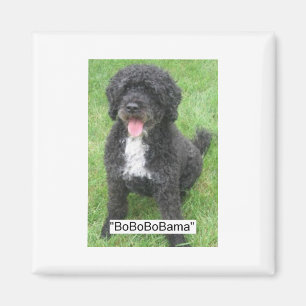 Obama Pet Portugiesischer Wasserhund Magnet