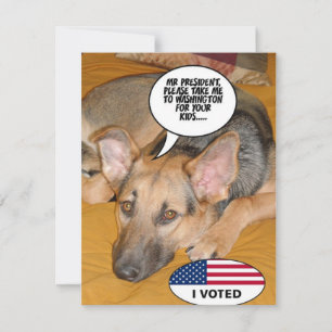 Obama Pet/Whitehouse Spaß