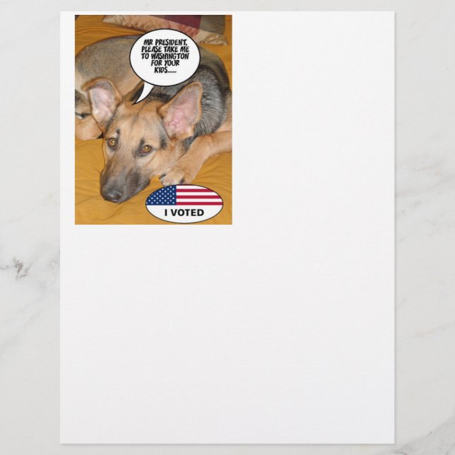 Obama Pet/Whitehouse Spaß (Vorderseite)