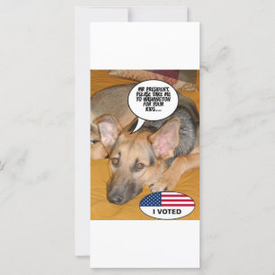 Obama Pet/Whitehouse Spaß