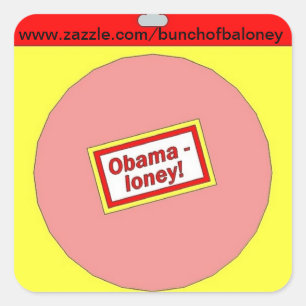 Obamaloney Werbeaktionaufkleber Quadratischer Aufkleber