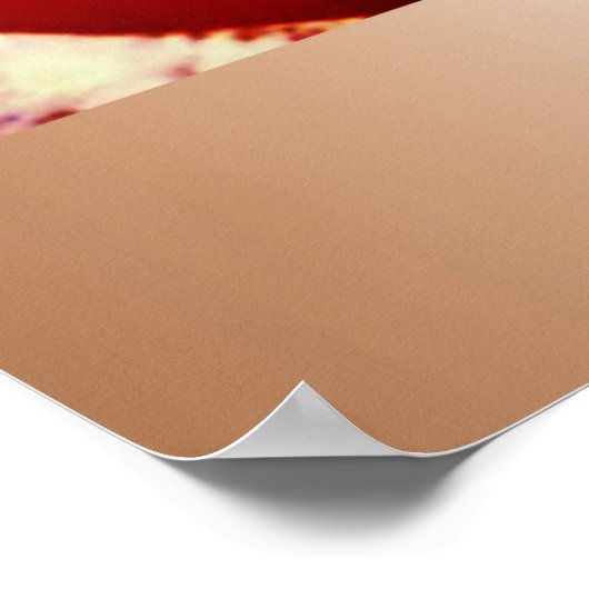 OBAMAS ERSTER INAUGURALLER TANZ POSTER (Ecke)