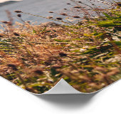 Oban Waterfront Poster (Ecke)