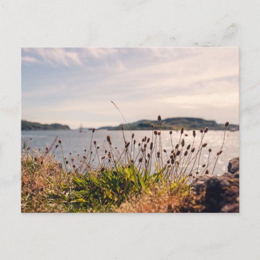 Oban Waterfront Postkarte (Vorderseite)
