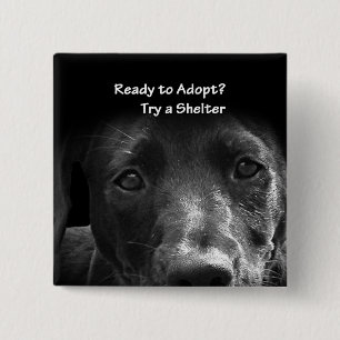 Obdachlose Adoption Button