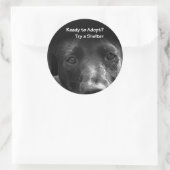 Obdachlose Adoption Sticker Hund (Tasche)