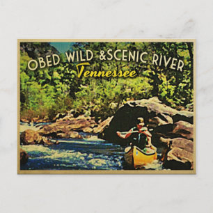 Obed Wild Scenic River Tennessee Postkarte