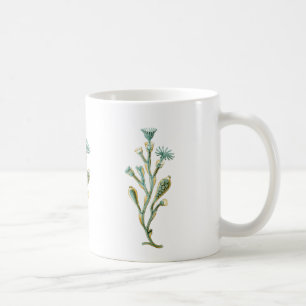 Obelia (Quallen) Kaffeetasse