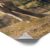 Oben drauf poster (Ecke)