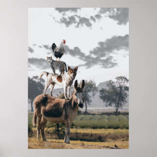 Oben drauf poster