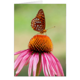 Oben - Fritillary Butterfly