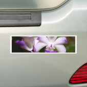 oben geschlossen von der Orchideen-Blume Autoaufkleber (Auf Auto)