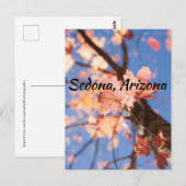 oben, in den Blätter Sedona, Arizona Postkarte (Vorne/Hinten)