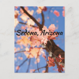 oben, in den Blätter Sedona, Arizona Postkarte