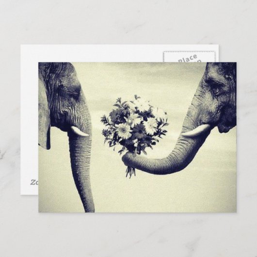 Oben Postkarte (Vorne/Hinten)