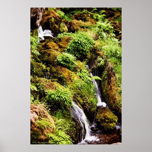 Oben und unten poster (Vorne)