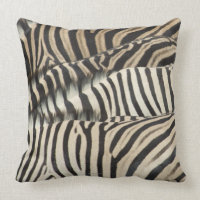 Obenliegende Ansicht von Burchells Zebra